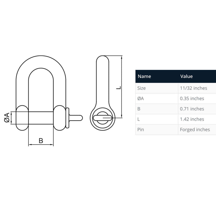 316 Stainless Steel Screw Pin D Shackle - Set of 2